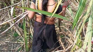 My sexy wife and I in the sugarcane field in Mast Chudai Indian Video